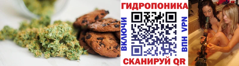 закладка  Будённовск  Canna-Cookies конопля 