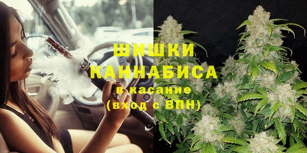 бошки Богданович