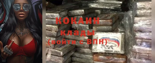 спайс Бородино