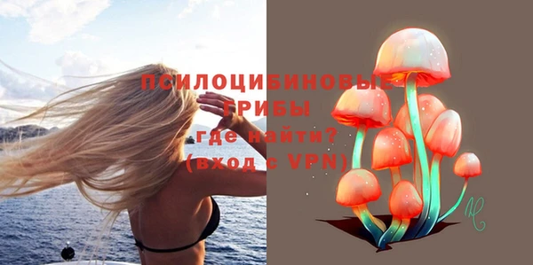 спиды Бронницы
