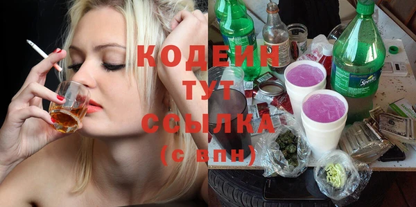 шишки Богородск