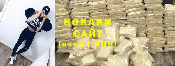 шишки Богородск
